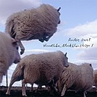 Hundloka, flockblomstriga 1