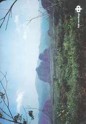 Field recordings