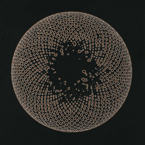 Organ Eye