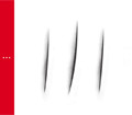 Points and Slashes