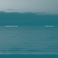 Oceanic Feeling - Like