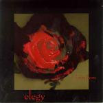 Elegy