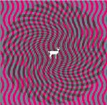 Cryptograms / Fluorescent Grey