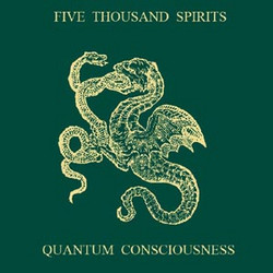Quantum Consciousness
