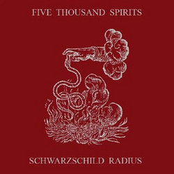 Schwarzschild Radius