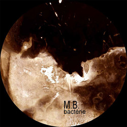 Bactérie
