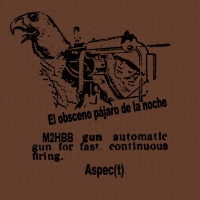 El obsceno pajaro de la noche