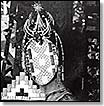 Inner Voices/Nerve Language