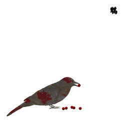 13 Japanese birds Vol.10 Niwatori