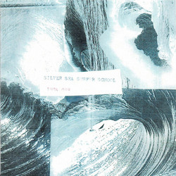 Silver Sea Surfer School