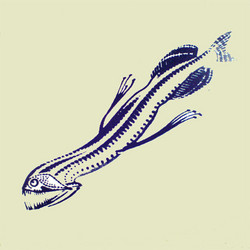The Squid