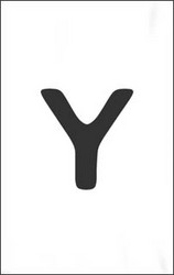 Y