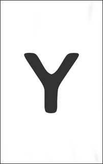 Y