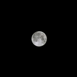 Moon Phantoms