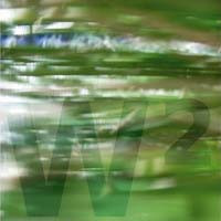 W2 (1998-2008)