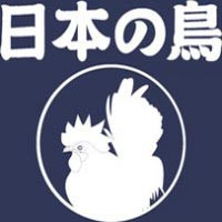 13 Japanese Birds In A Bag