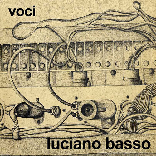 Voci