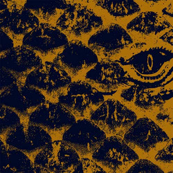 The Electric Dragon of Venus