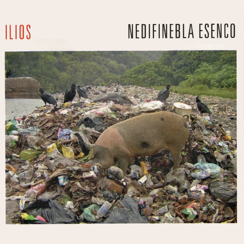 Nedifinebla Esenco