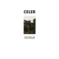 Voyeur