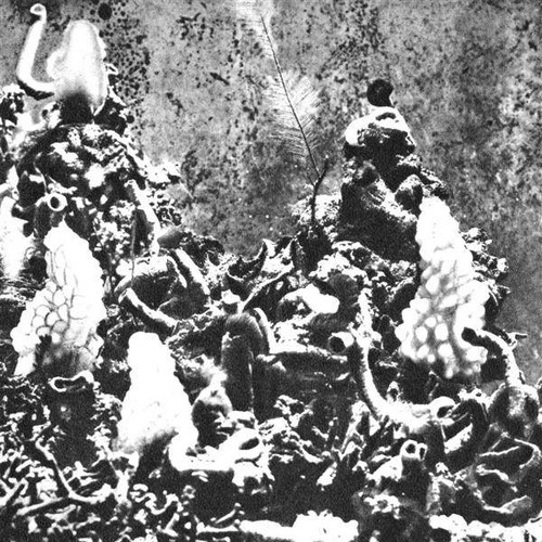 Fiume Nero