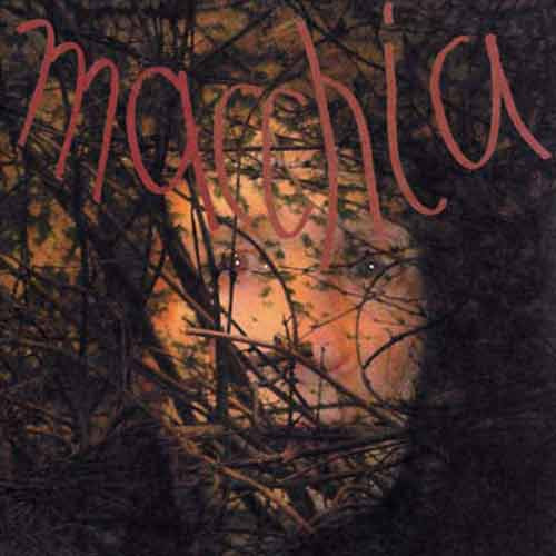 Macchia Forest