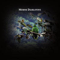 Morne diablotins