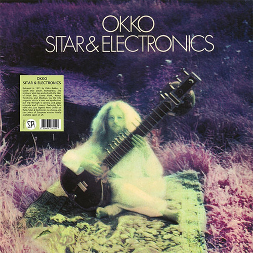 Sitar & Electronics