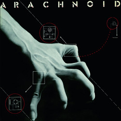 Arachnoid