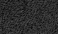 Chronological Compression II