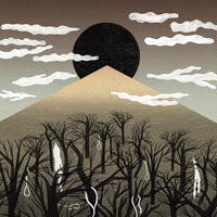 Aokigahara