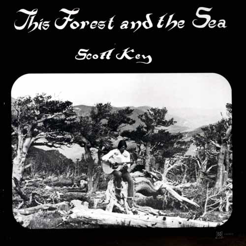 This Forest and the Sea