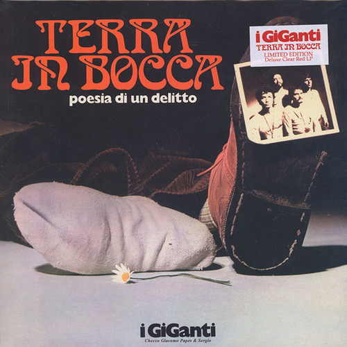 Terra In Bocca