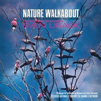Nature Walkabout