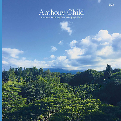 Electronic Recordings from Maui Jungle Vol. 2