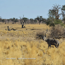 South Africa recordings