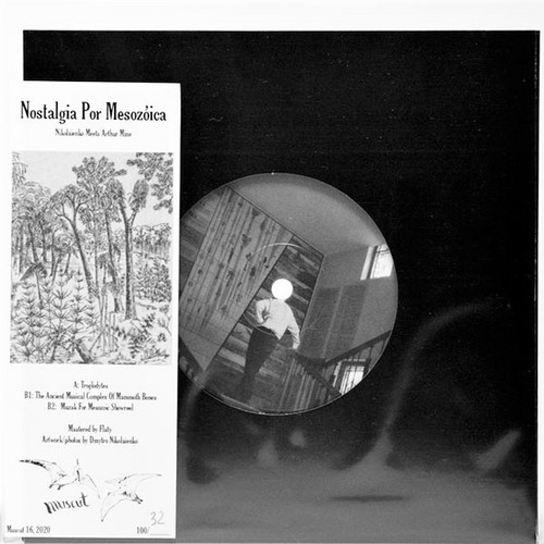 Nostalgia Por Mesozóica