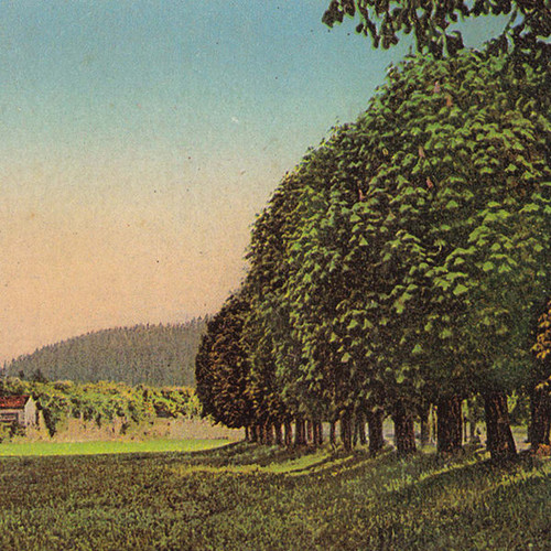 Time of Hayfield
