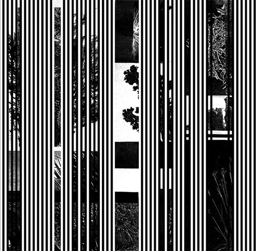 Basslines (2x7