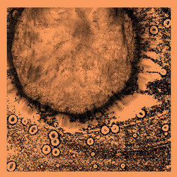 Several Circles