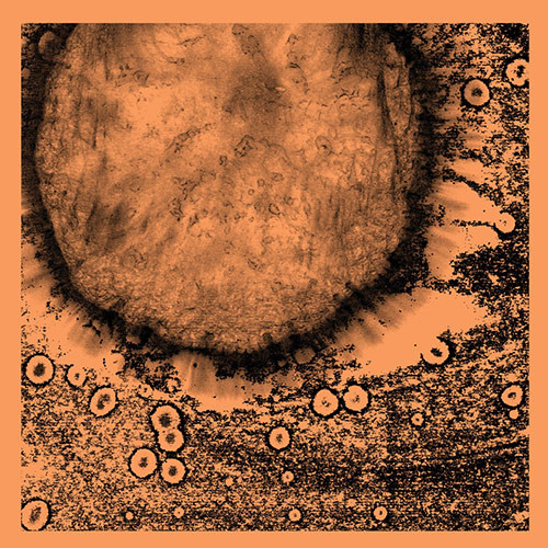 Several Circles