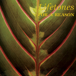 For A Reason