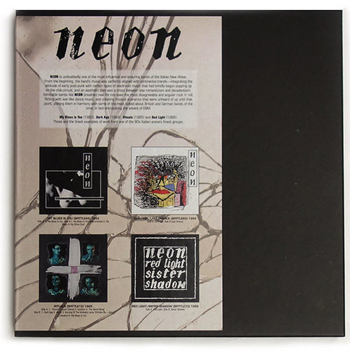Neon In The Box