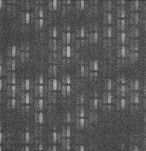 Broken TV Audio Report