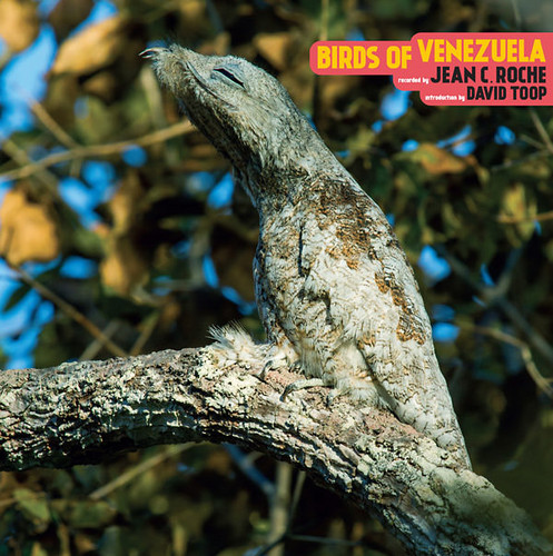 Birds Of Venezuela