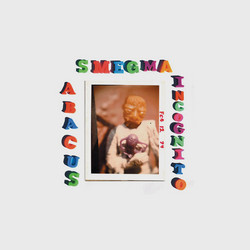 Abacus Incognito