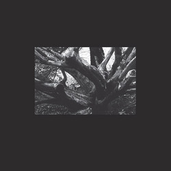 Seb-i Yelda