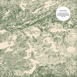 Ambient and Experimental Music from Australia And New Zealand 2L