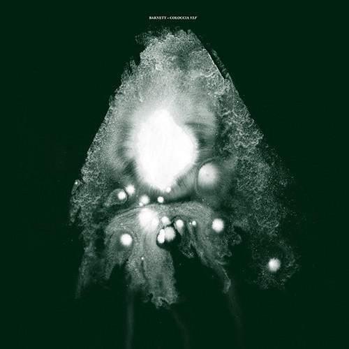 Vlf