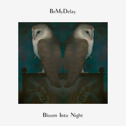 Bloom Into Night